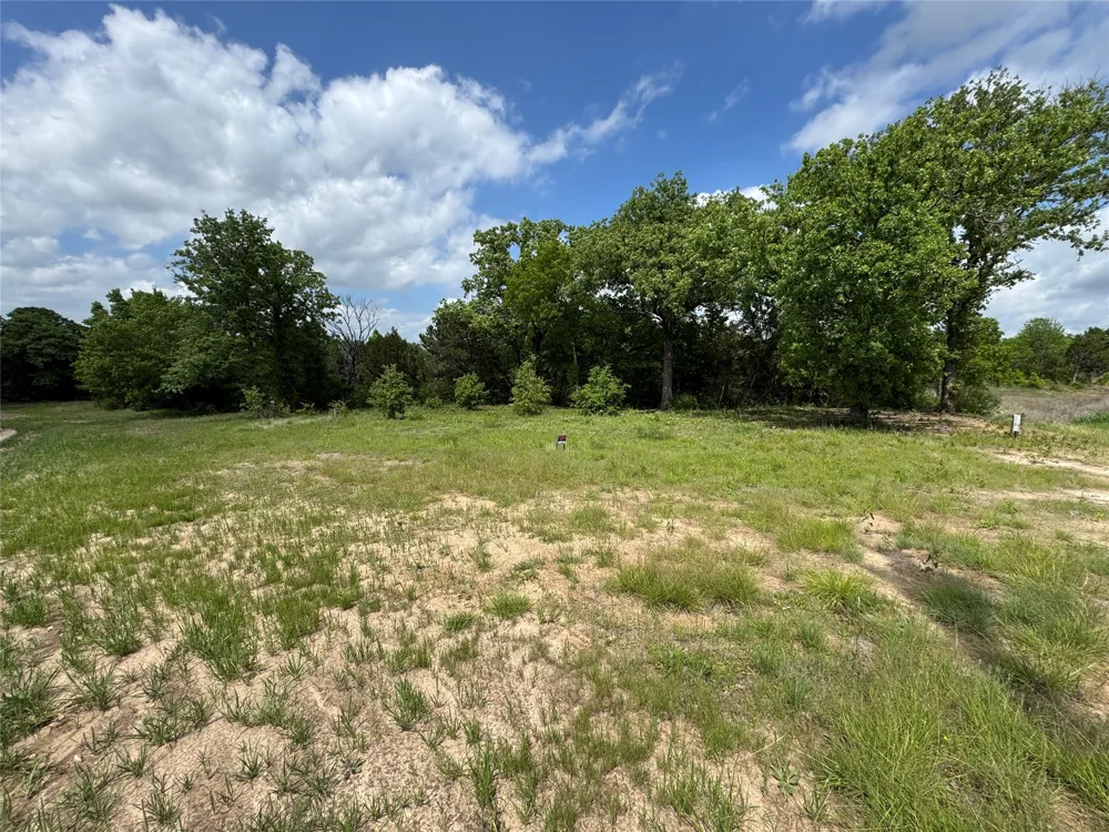 1017 Cedar Hill Drive Nemo, TX 76070