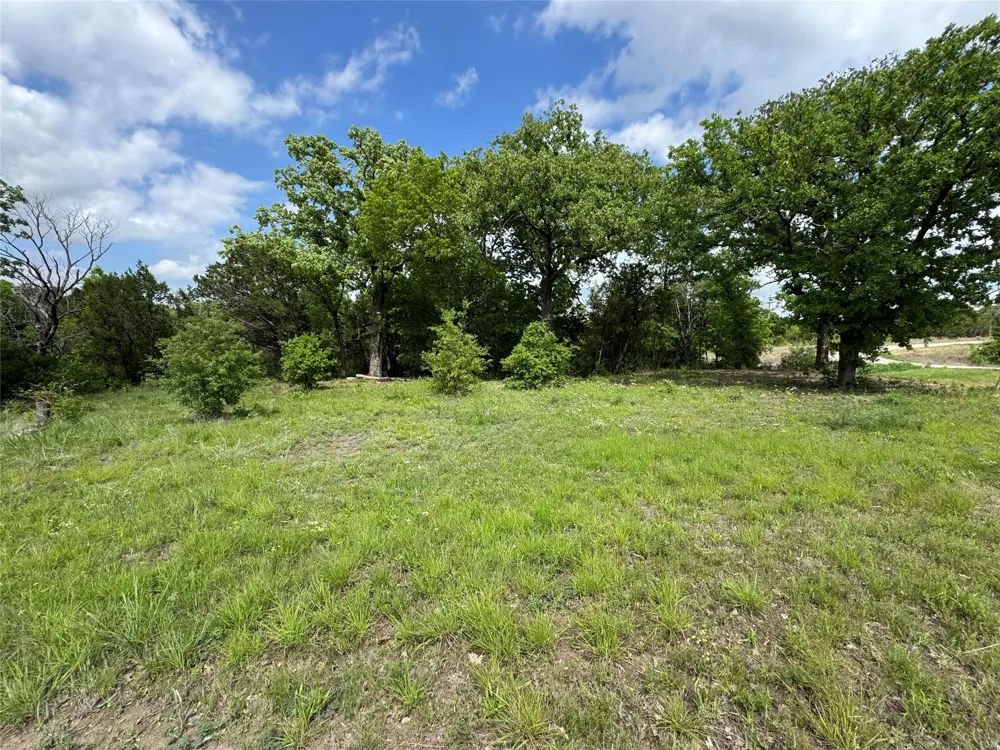1017 Cedar Hill Drive Nemo, TX 76070