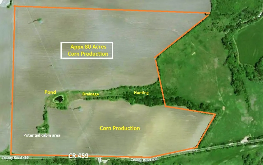 CR 459 Eddy, TX 76524
