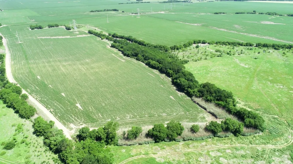 CR 459 Eddy, TX 76524