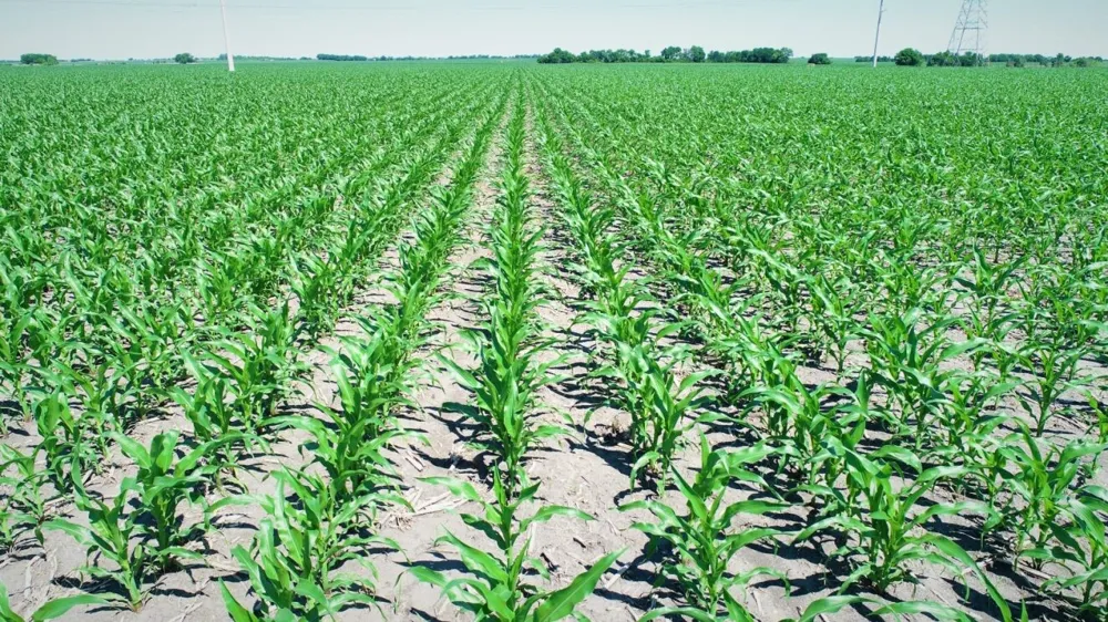 CR 459 Eddy, TX 76524