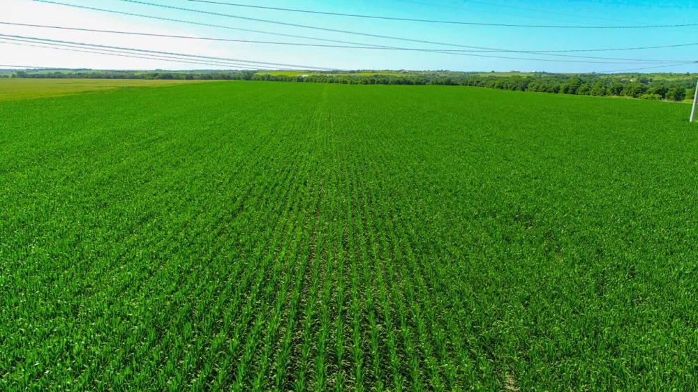 CR 459 Eddy, TX 76524