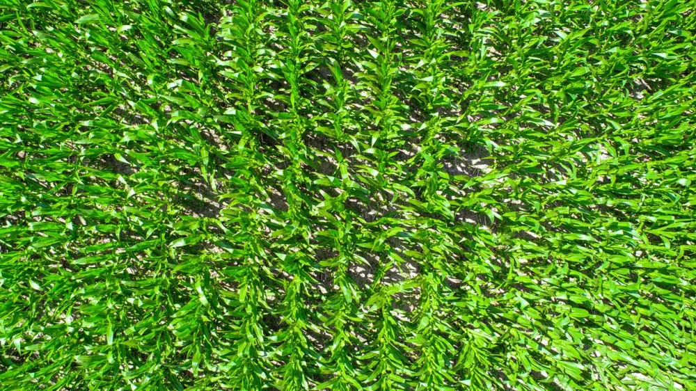 CR 459 Eddy, TX 76524