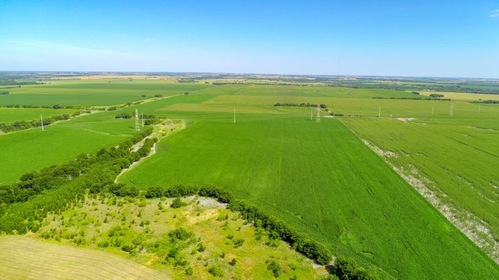 CR 459 Eddy, TX 76524