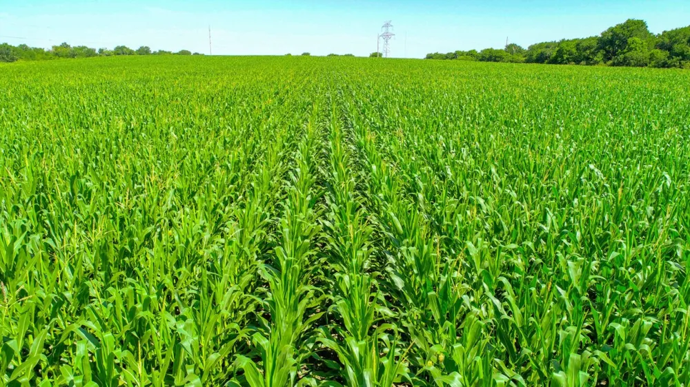 CR 459 Eddy, TX 76524