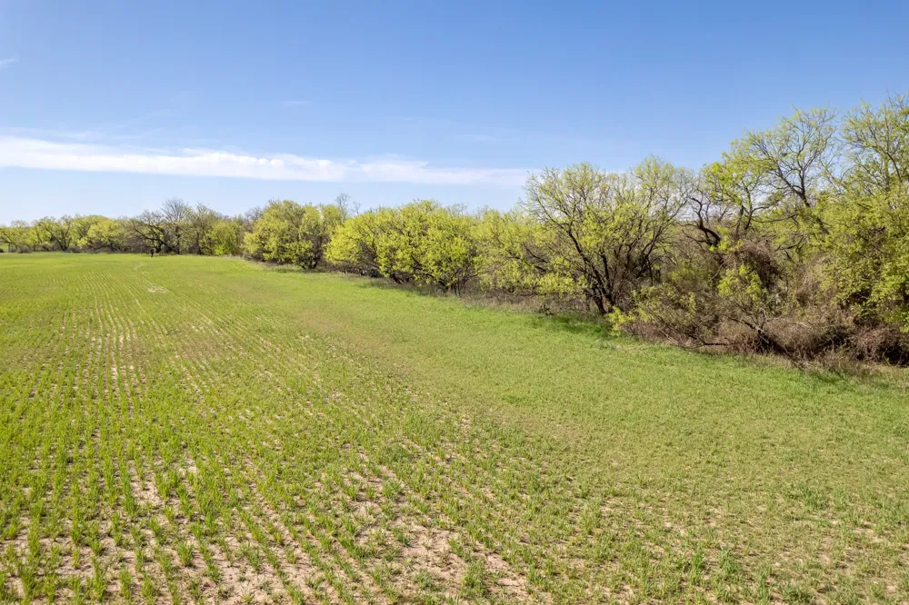 Old Burket Road Coleman, TX 76834