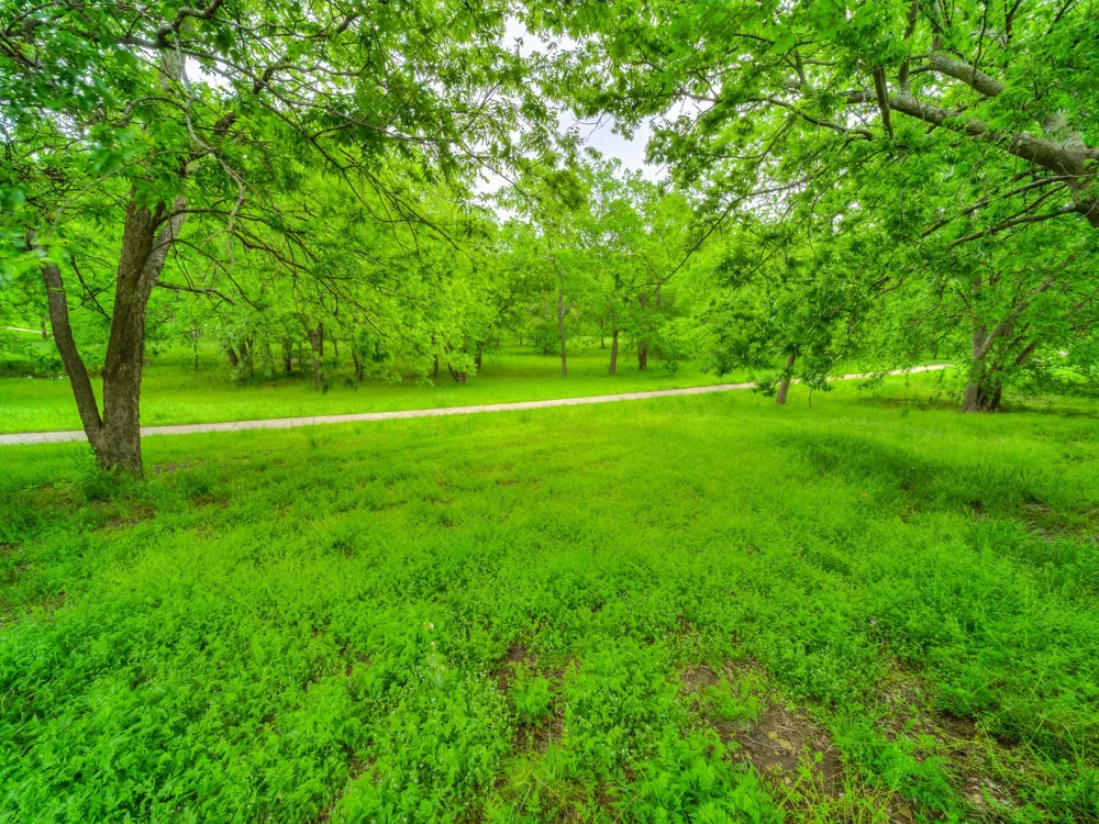 1408 Cobblestone Court Savannah, TX 76227