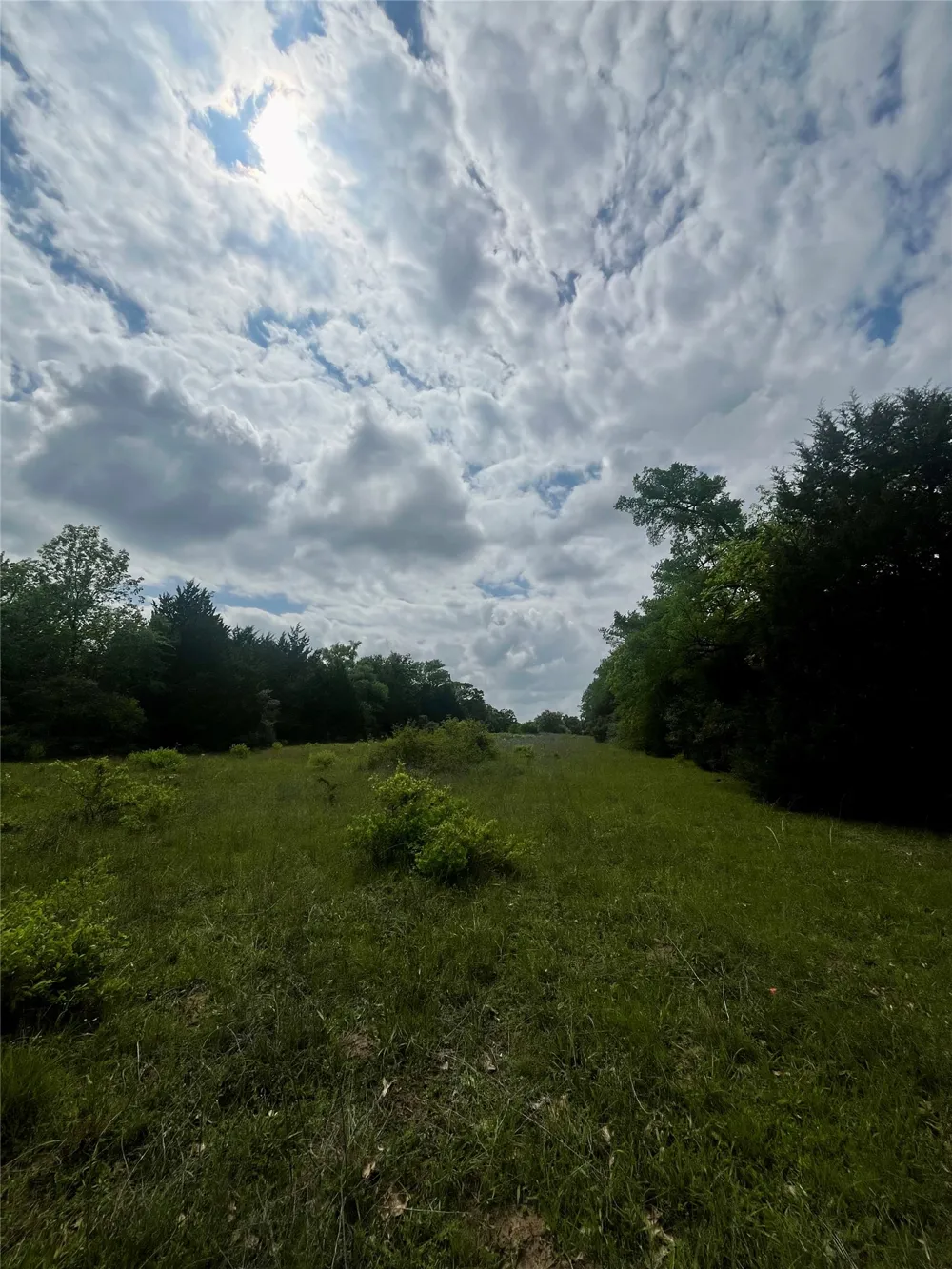 PR 5787 Groesbeck, TX 76642
