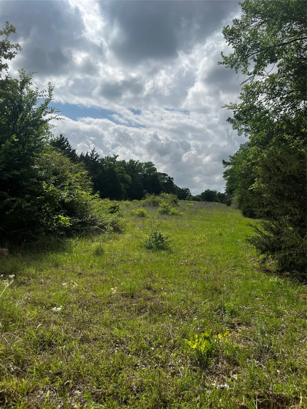 PR 5787 Groesbeck, TX 76642