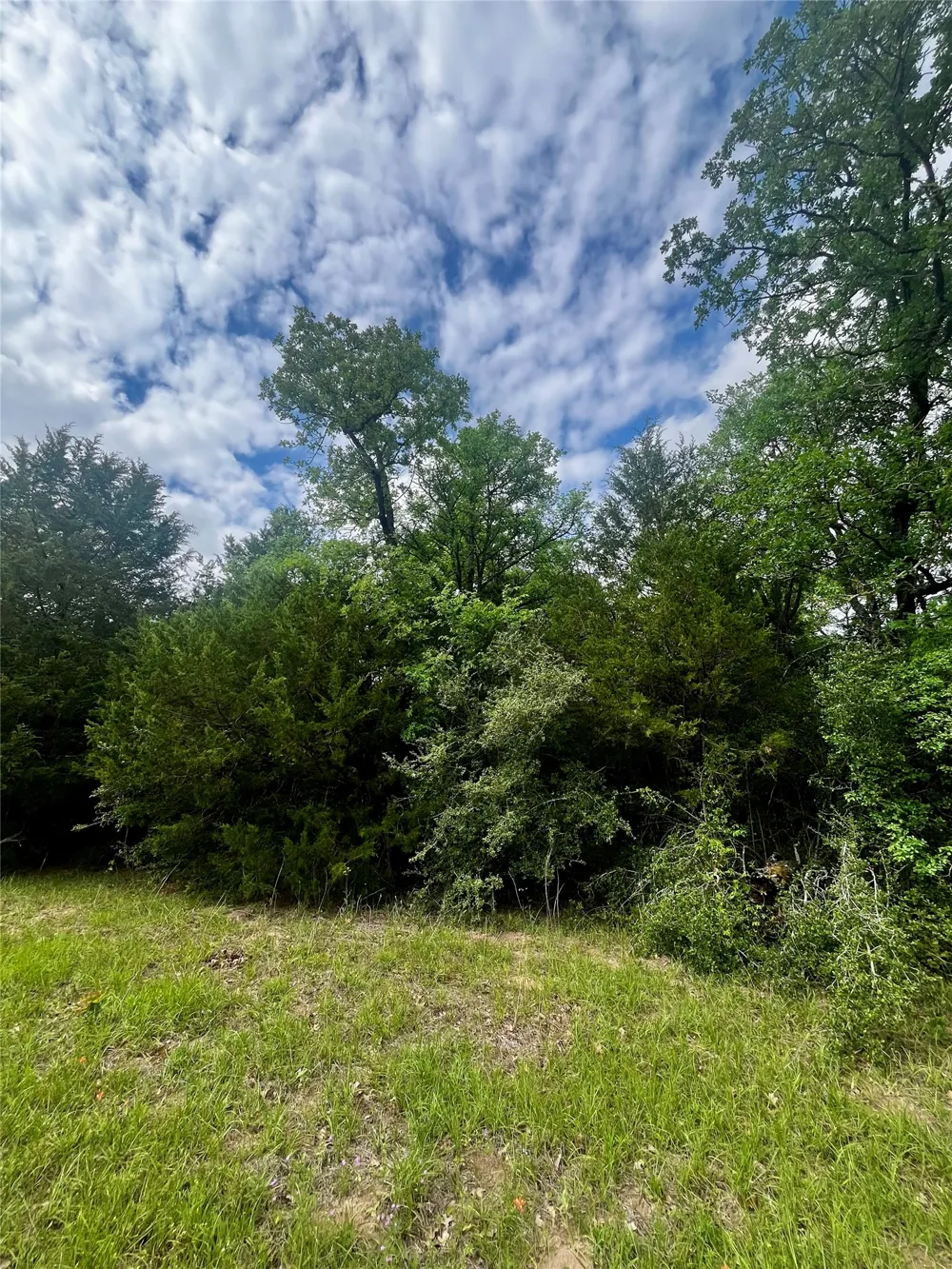 PR 5787 Groesbeck, TX 76642