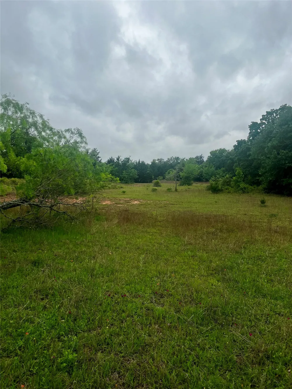 PR 5787 Groesbeck, TX 76642