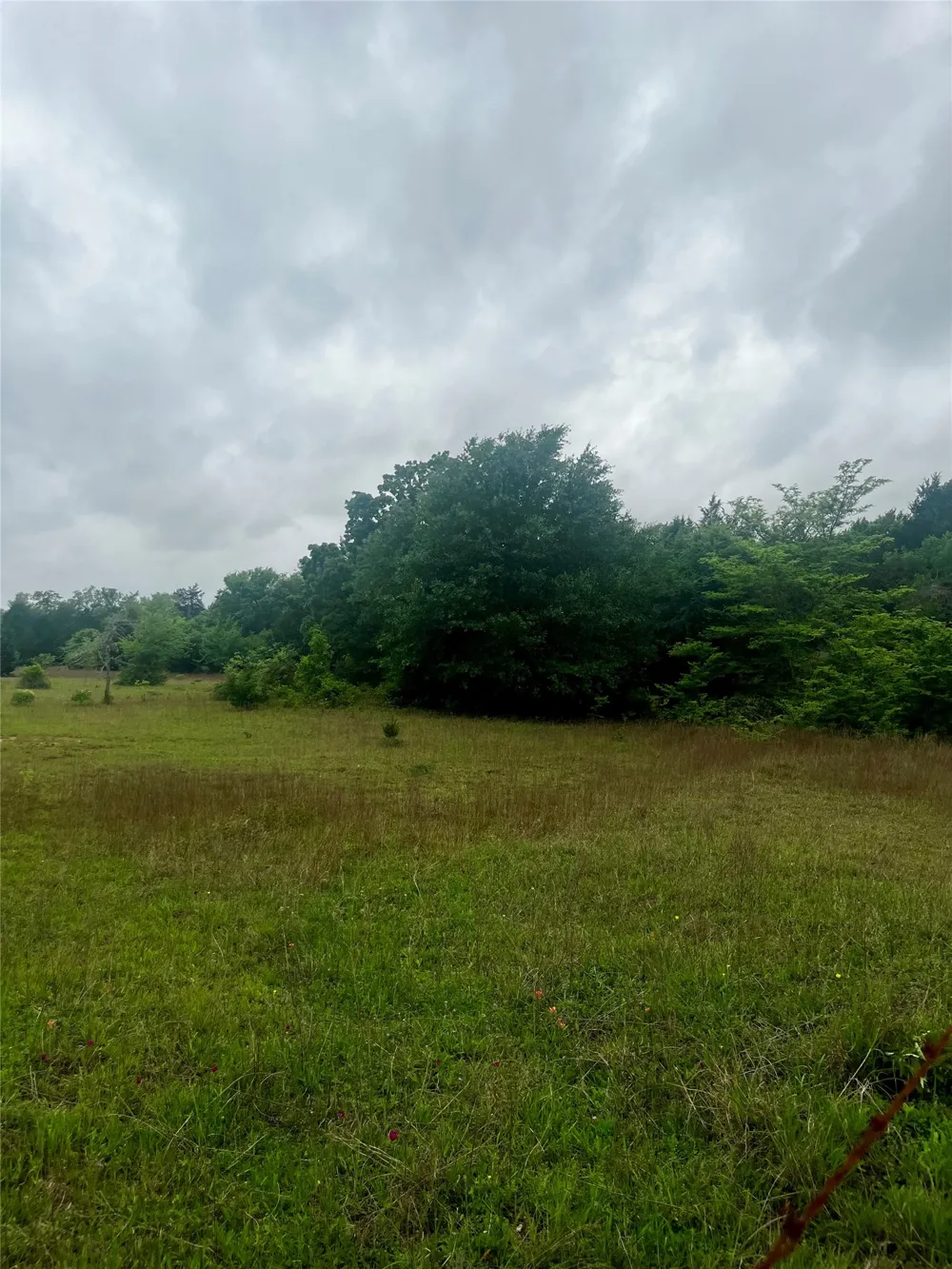 PR 5787 Groesbeck, TX 76642