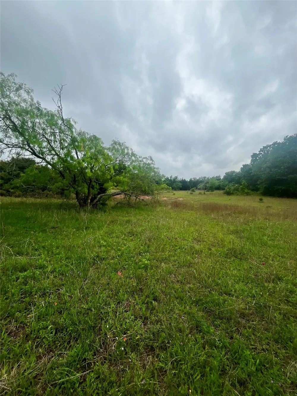 PR 5787 Groesbeck, TX 76642