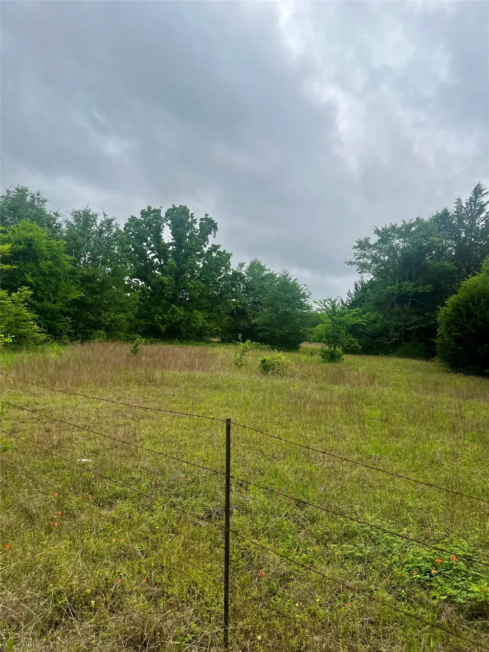 PR 5787 Groesbeck, TX 76642