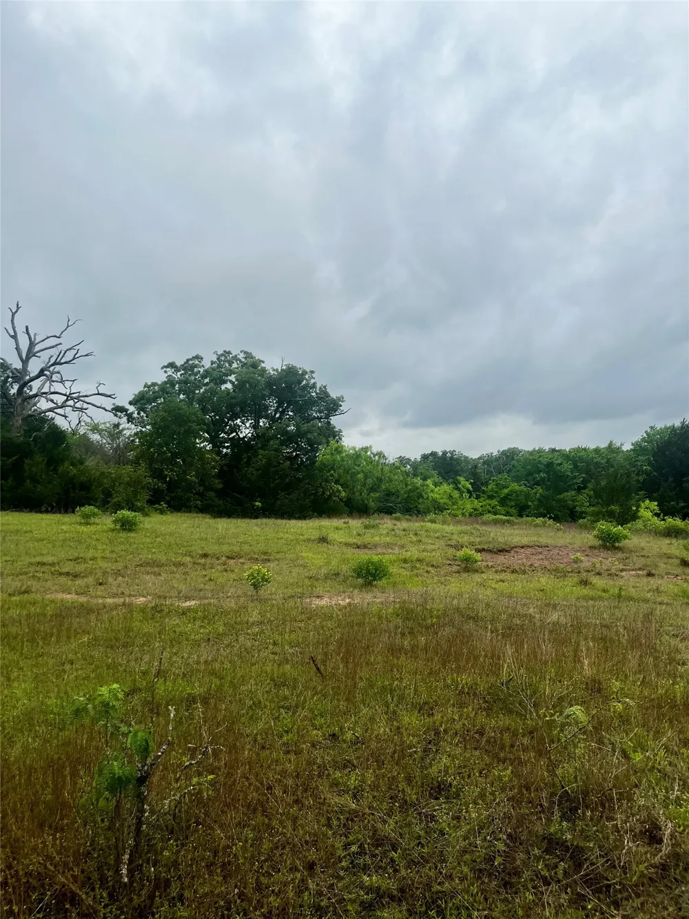 PR 5787 Groesbeck, TX 76642