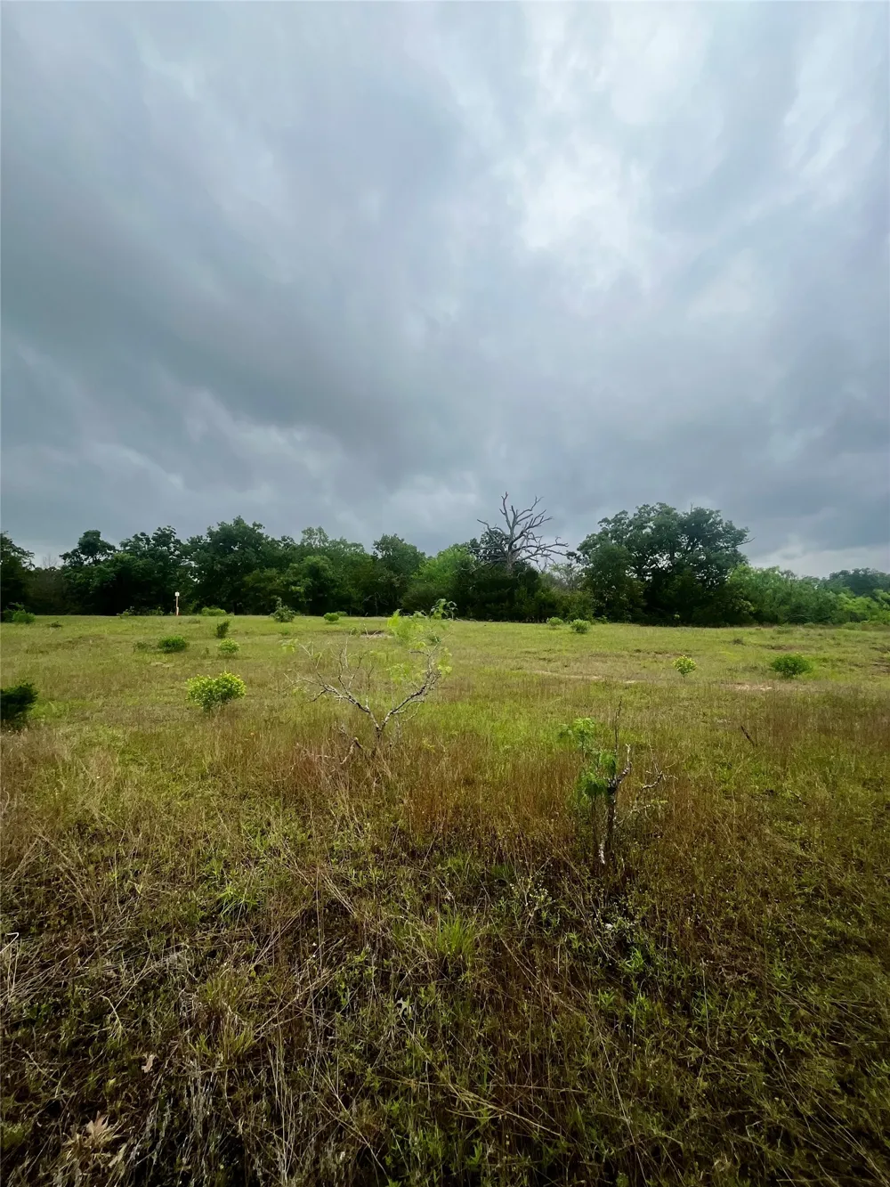 PR 5787 Groesbeck, TX 76642