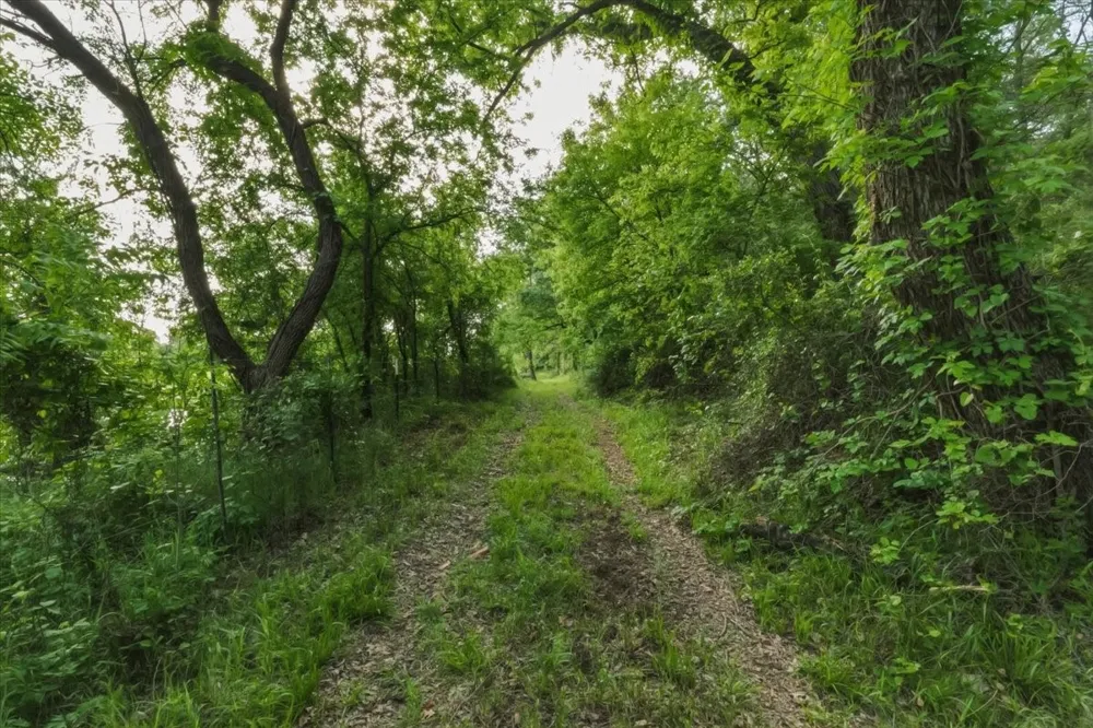 1370 Capstone Ridge Drive Santo, TX 76472