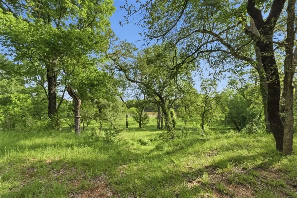 1370 Capstone Ridge Drive Santo, TX 76472