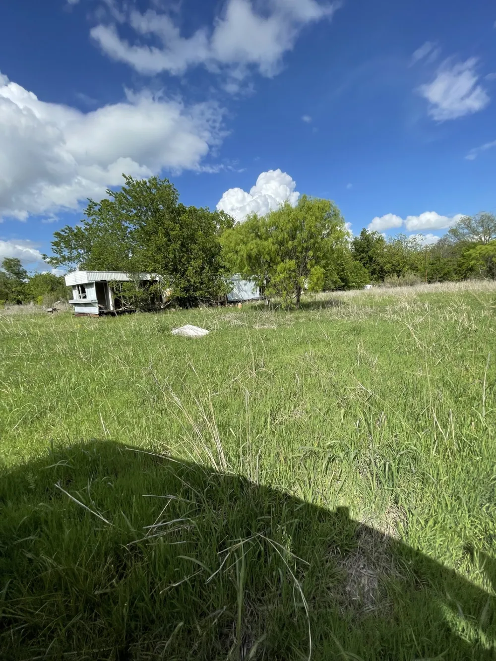 31 Julia Bangs, TX 76823