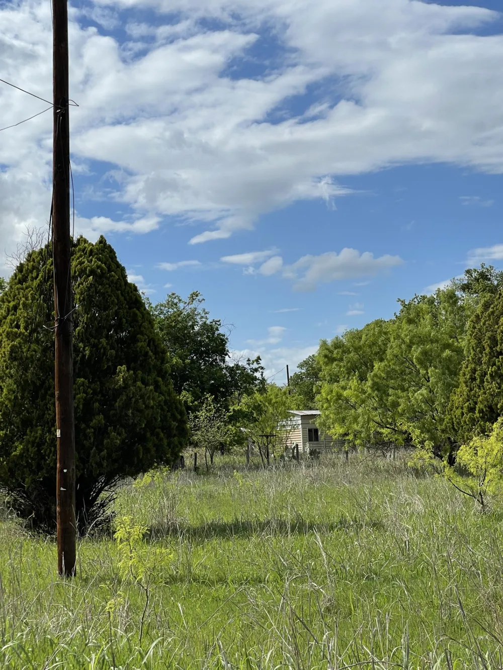 31 Julia Bangs, TX 76823