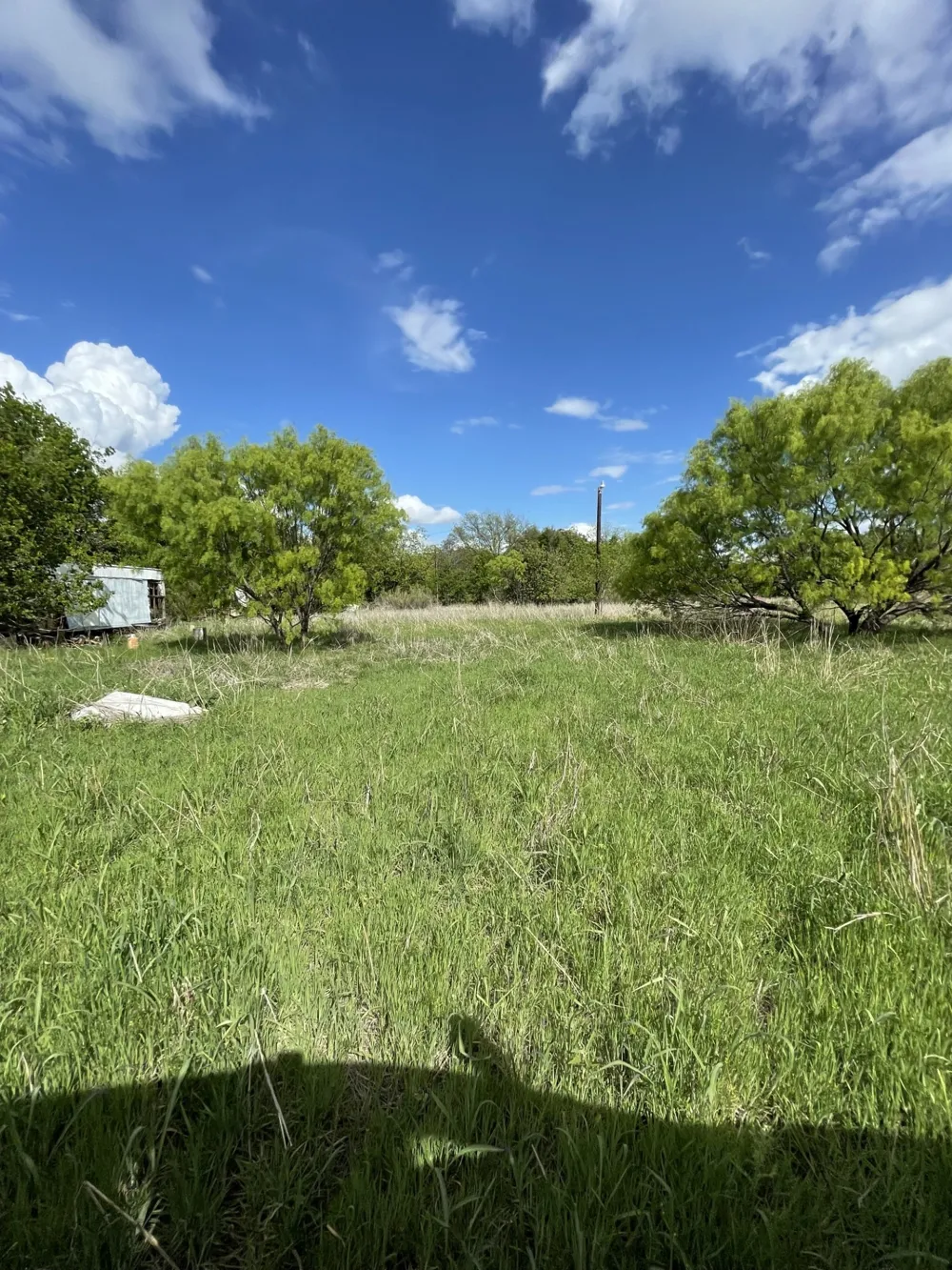 31 Julia Bangs, TX 76823