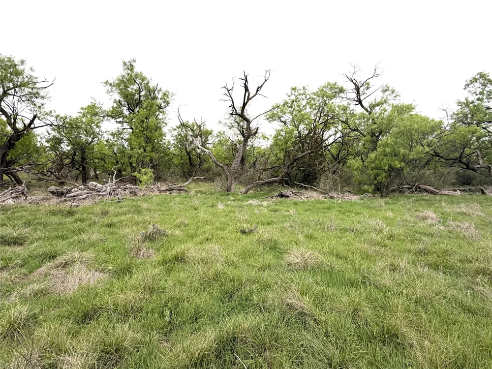 CR 156 Breckenridge, TX 76424
