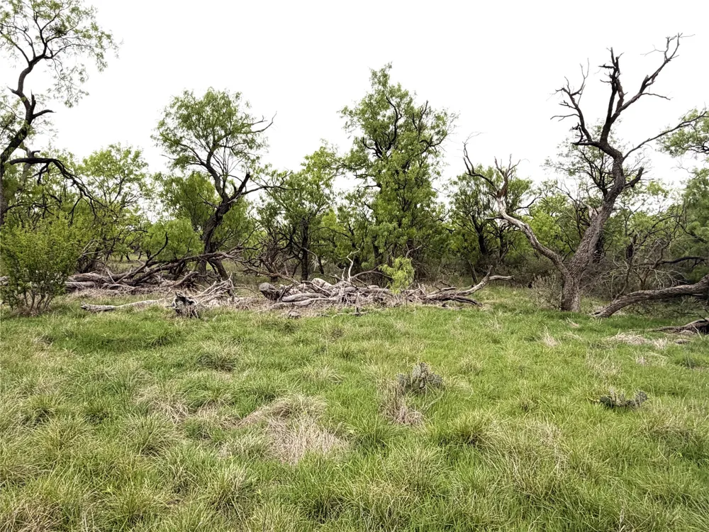 CR 156 Breckenridge, TX 76424