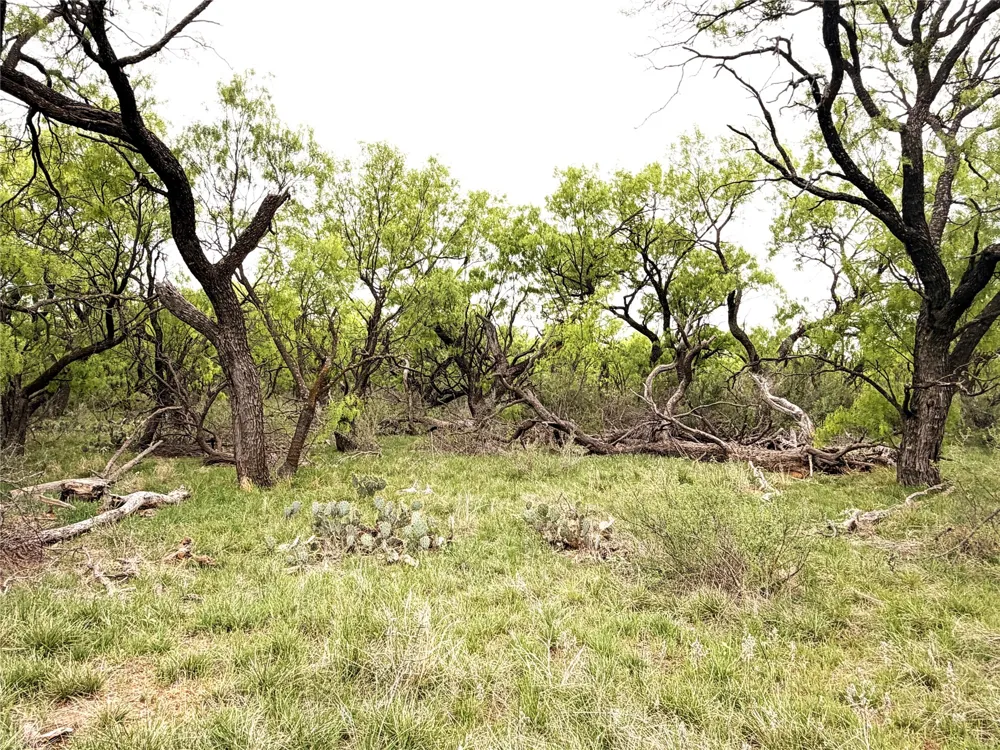 CR 156 Breckenridge, TX 76424