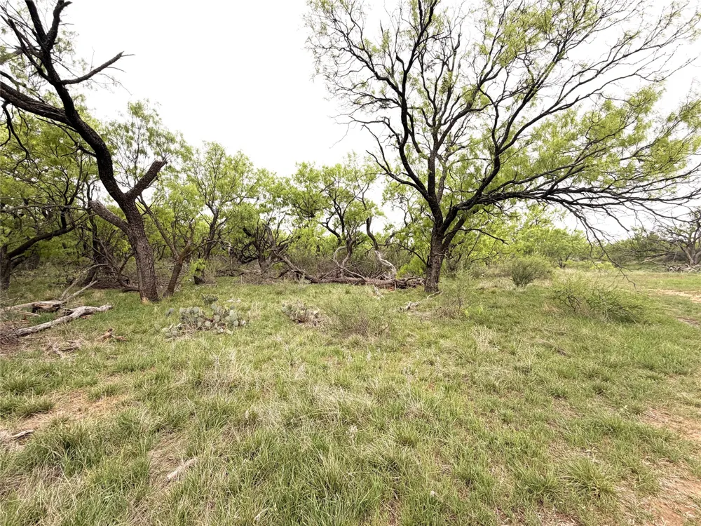 CR 156 Breckenridge, TX 76424