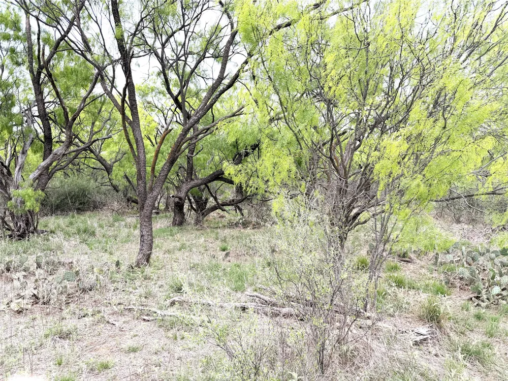 CR 156 Breckenridge, TX 76424