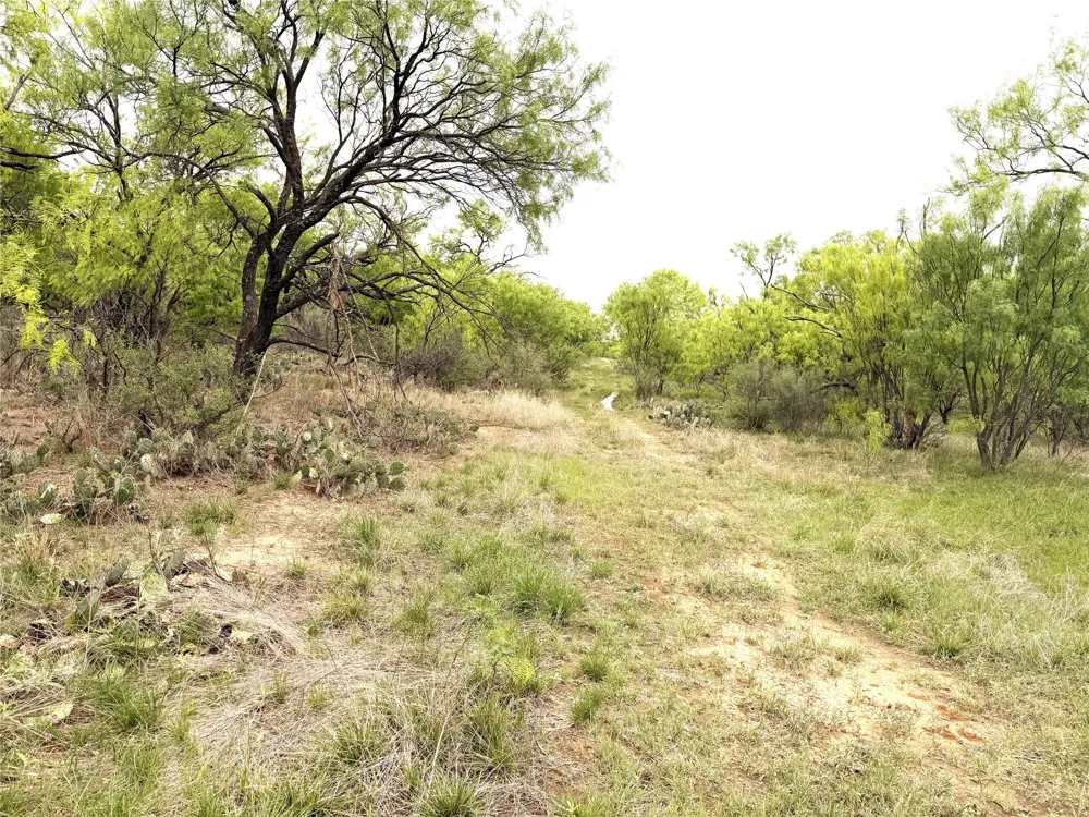 CR 156 Breckenridge, TX 76424