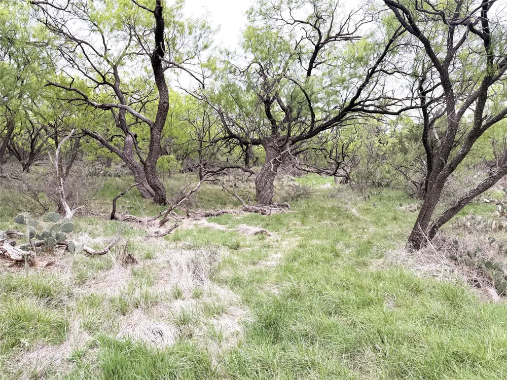 CR 156 Breckenridge, TX 76424