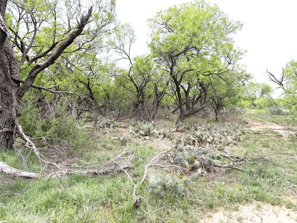 CR 156 Breckenridge, TX 76424