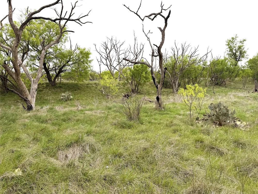 CR 156 Breckenridge, TX 76424