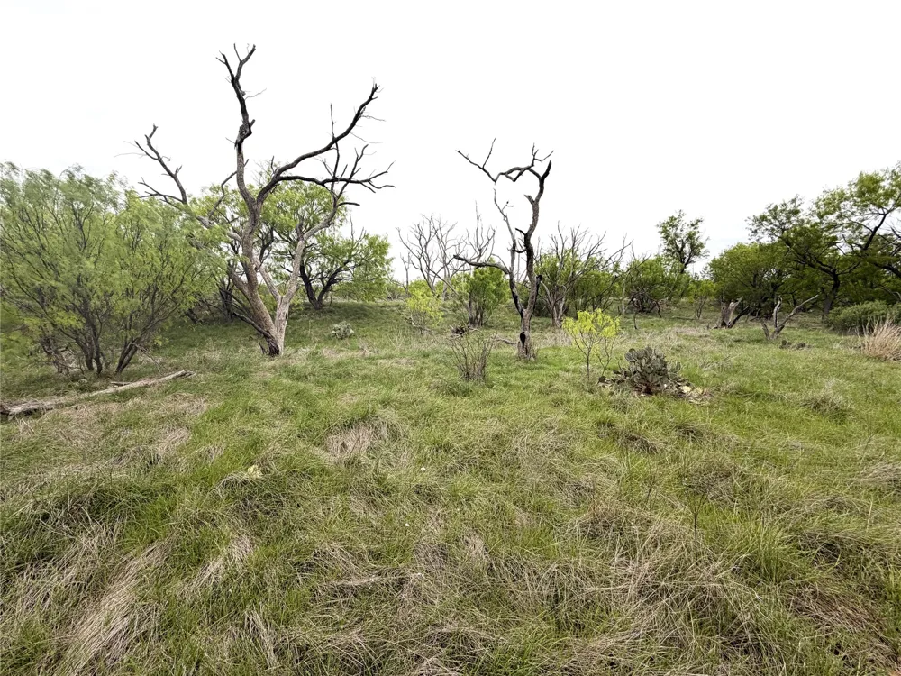 CR 156 Breckenridge, TX 76424