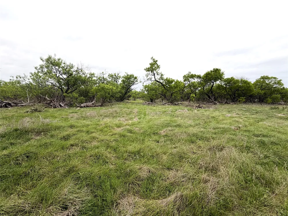 CR 156 Breckenridge, TX 76424
