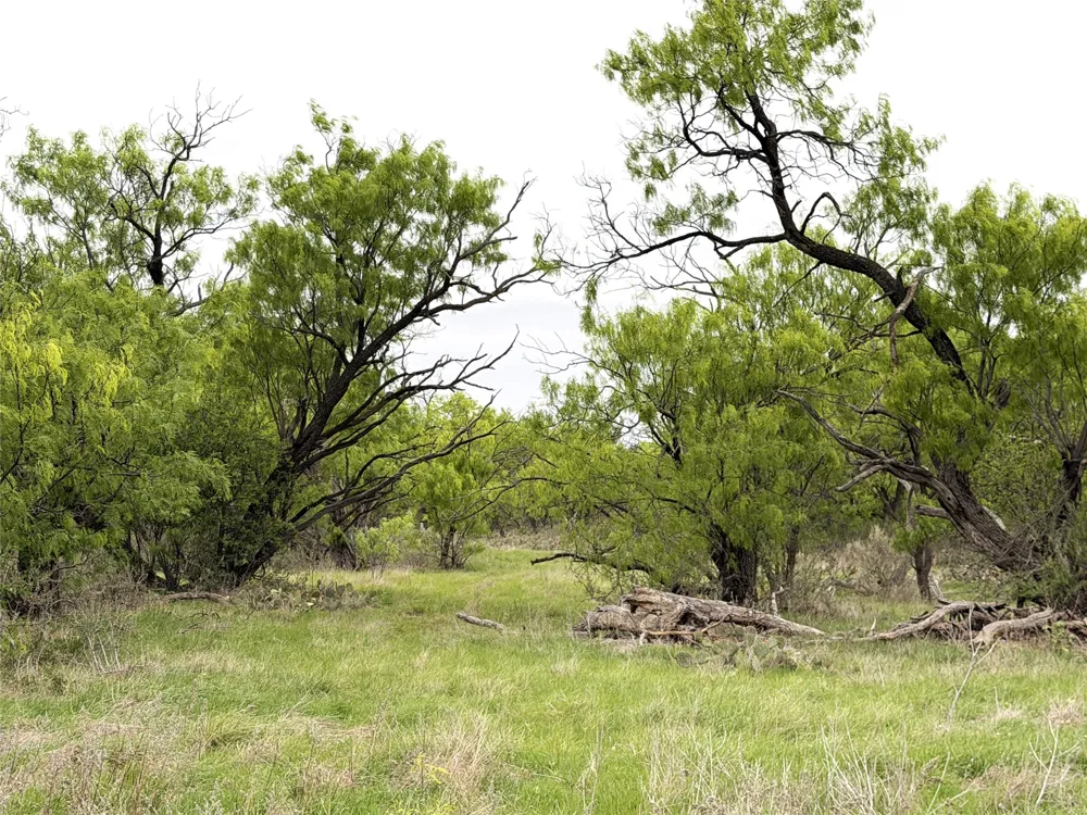 CR 156 Breckenridge, TX 76424