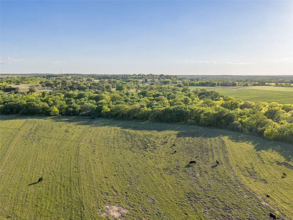 Fm 1702 Gustine, TX 76455