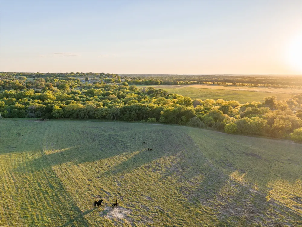 Fm 1702 Gustine, TX 76455