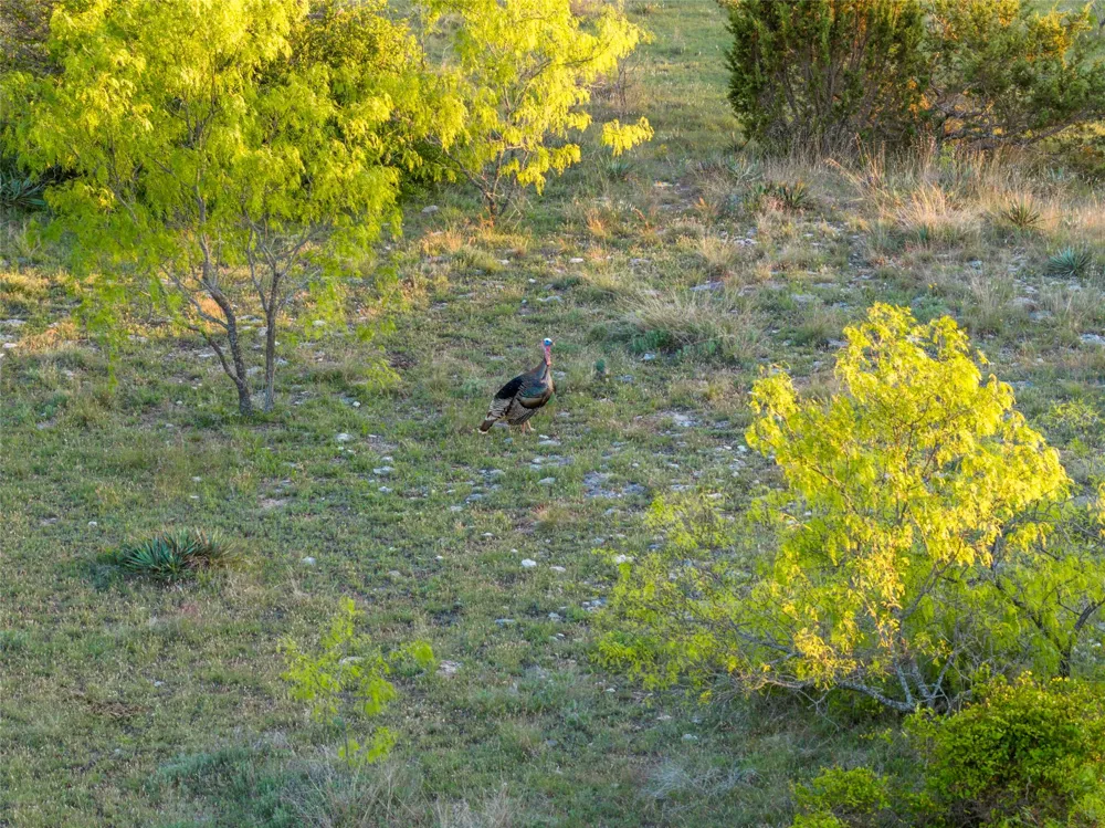 Fm 1702 Gustine, TX 76455