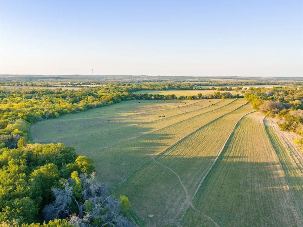 Fm 1702 Gustine, TX 76455