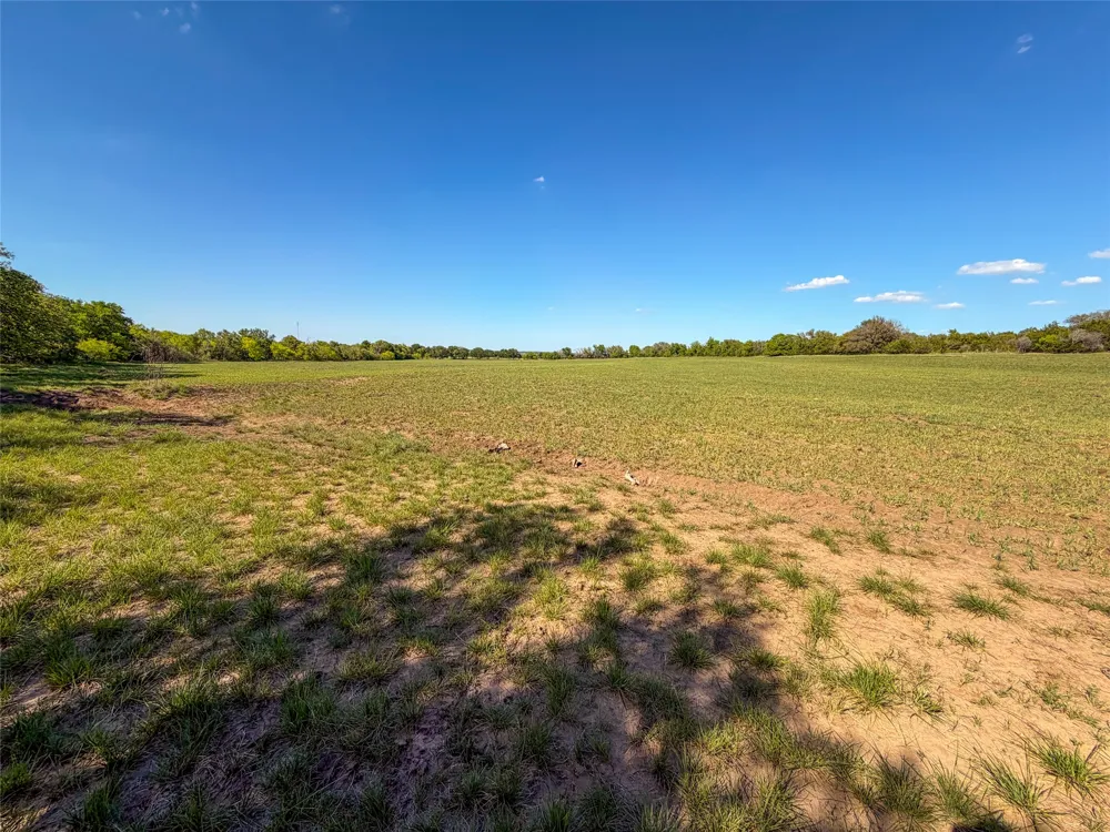 Fm 1702 Gustine, TX 76455