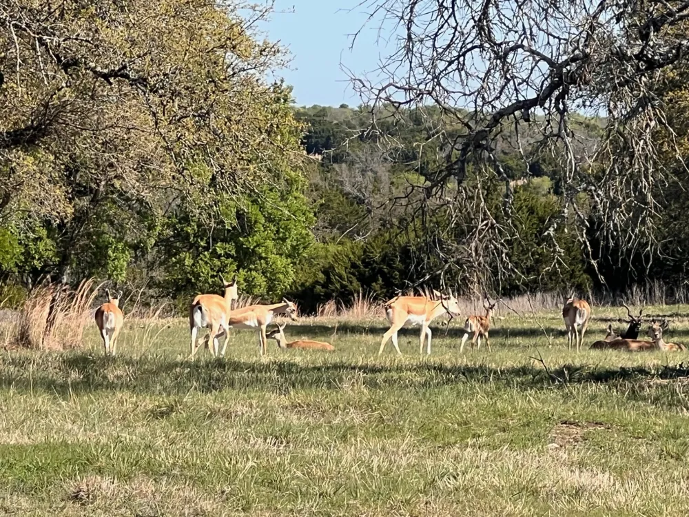 235 Private Road 2124 Meridian, TX 76665