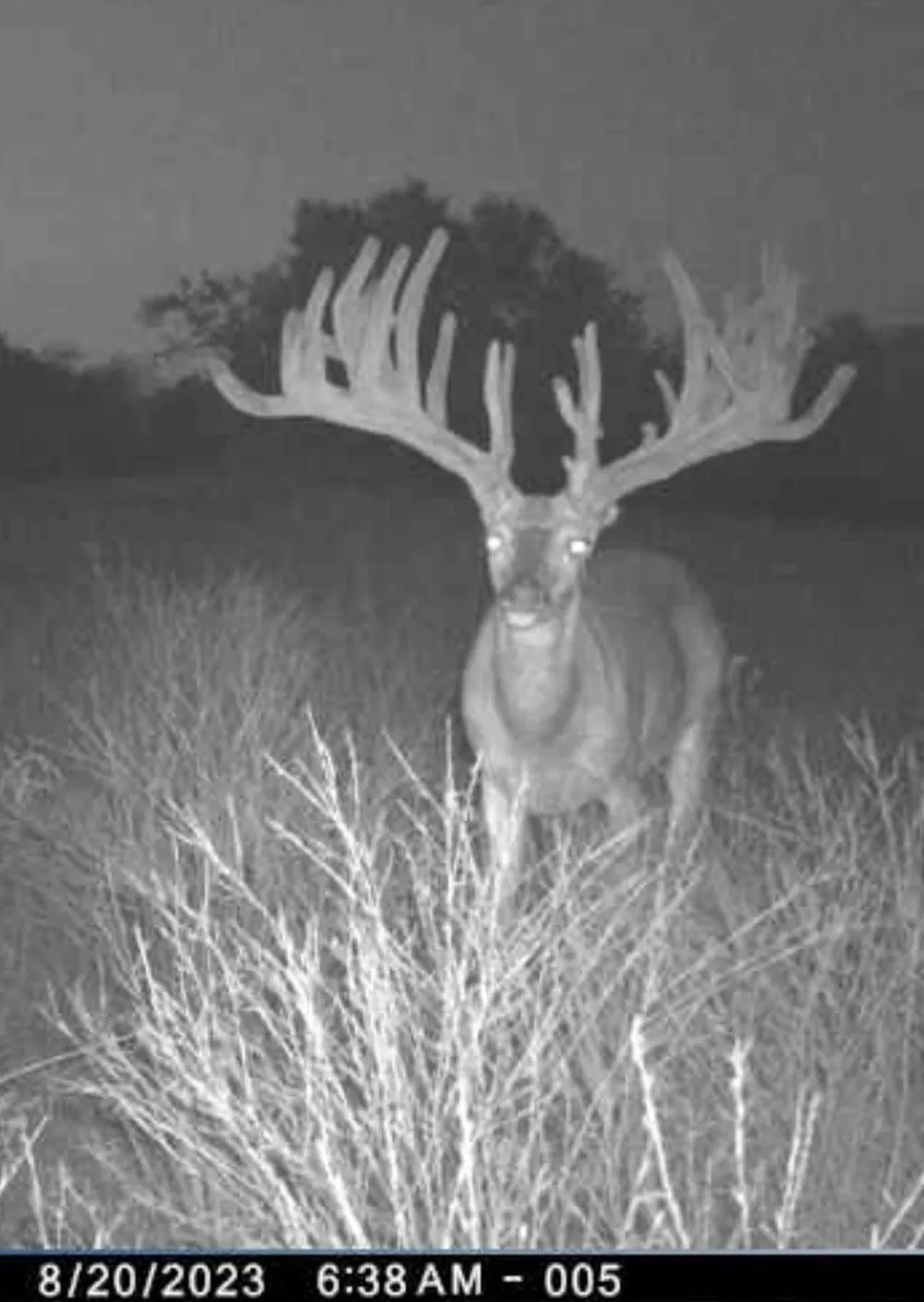 235 Private Road 2124 Meridian, TX 76665