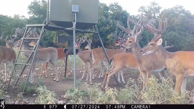 235 Private Road 2124 Meridian, TX 76665