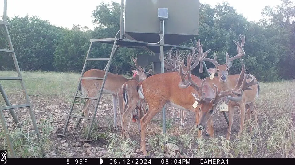 235 Private Road 2124 Meridian, TX 76665