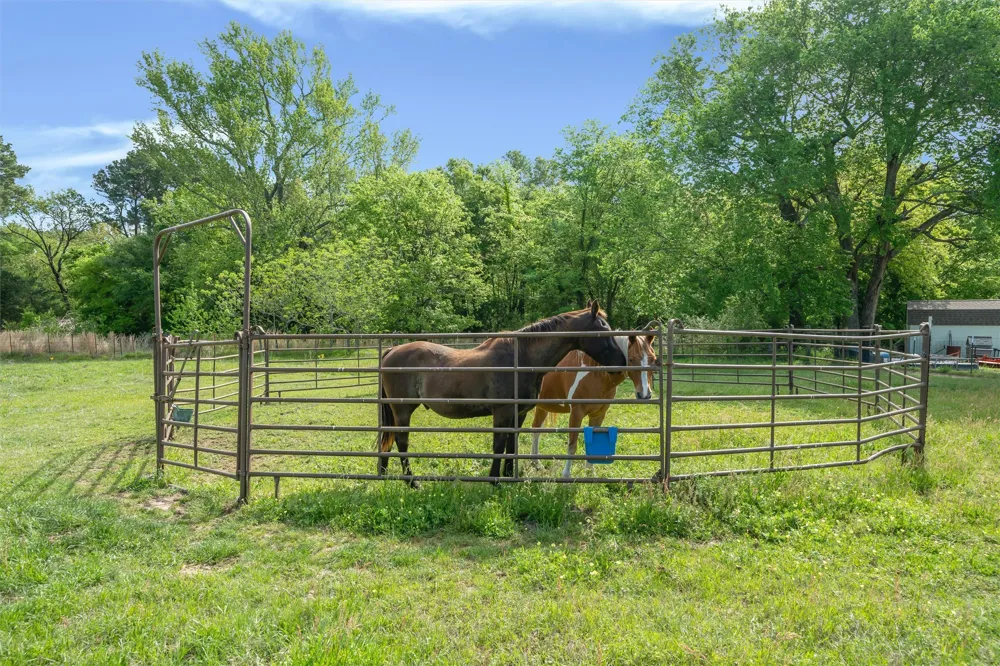 891 County Road 4740 Winnsboro, TX 75494