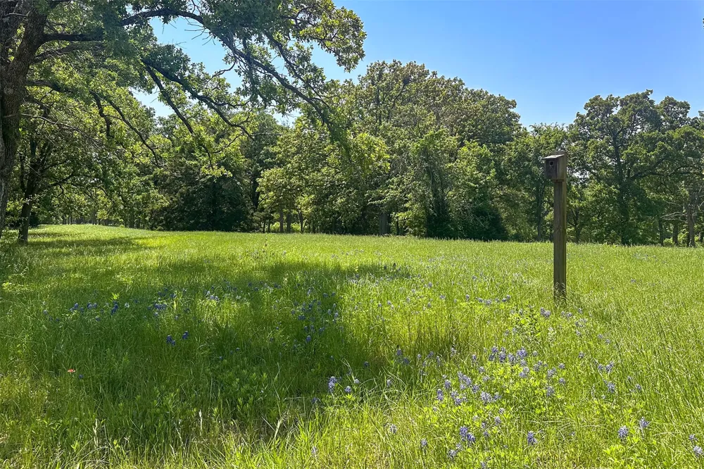 513 Winding Shore Drive Tool, TX 75143