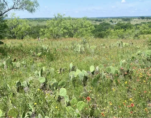 Comanche Lake Road