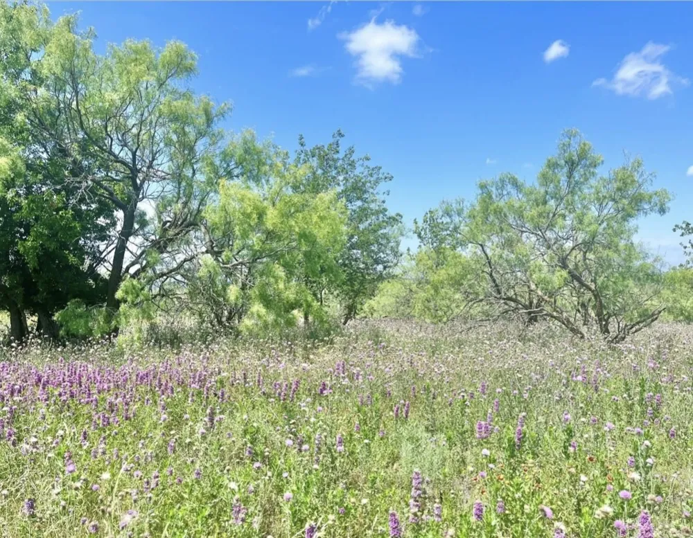 Comanche Lake Road Comanche, TX 76442